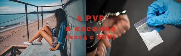 apvp Алзамай
