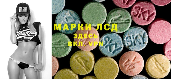 apvp Алзамай