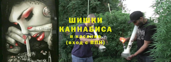 apvp Алзамай