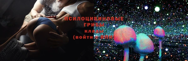 apvp Алзамай