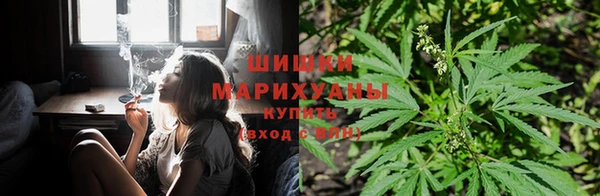 apvp Алзамай